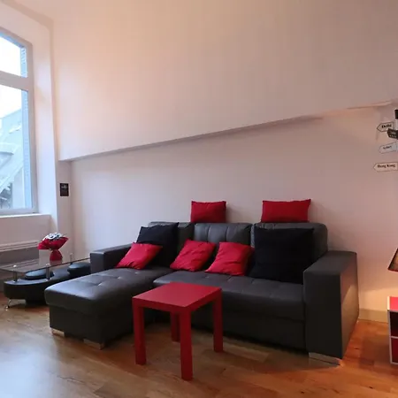 Loft Lumineux En Centre-ville, Proche Thermes, Pour 4 Personnes - Fr-1-858-28 *