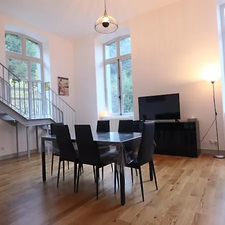Loft Lumineux En Centre-ville, Proche Thermes, Pour 4 Personnes - Fr-1-858-28 *